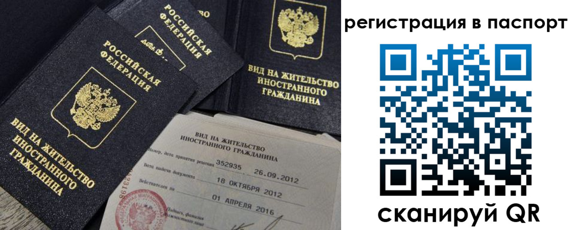 прописка 2025 в Вязьме